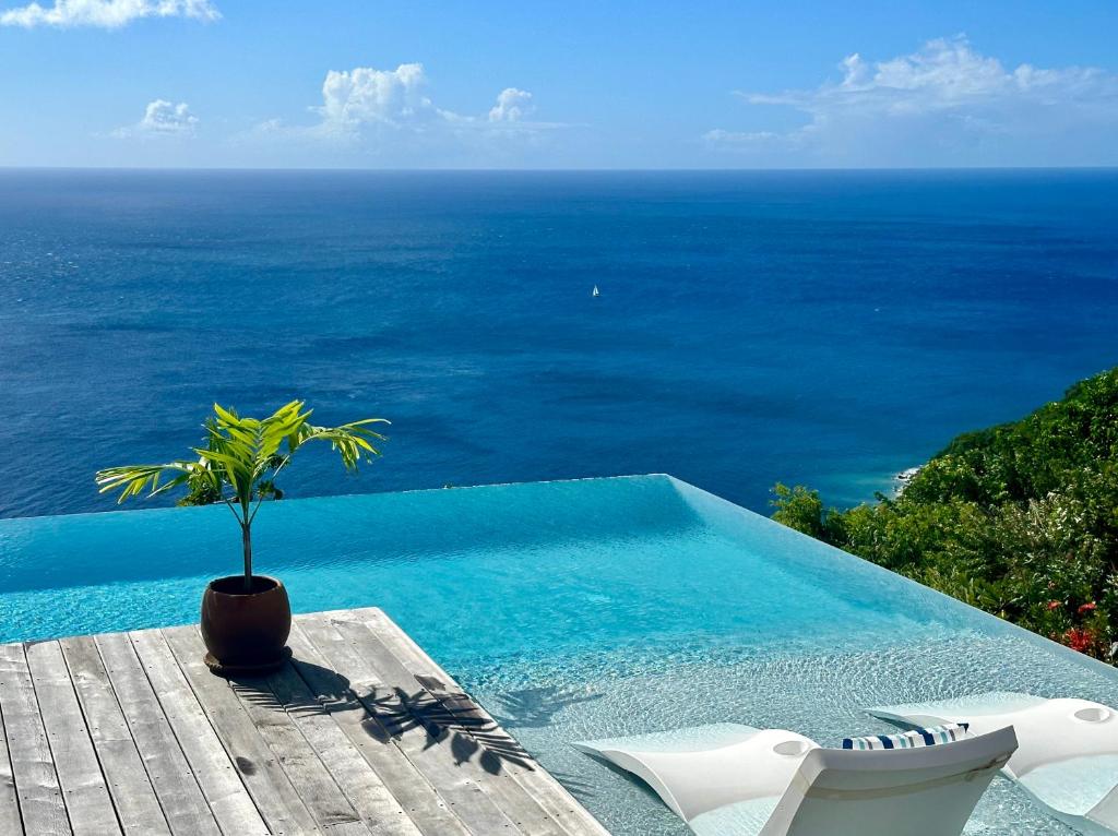 una piscina con una maceta en una terraza en Infinity Luxury Villa - Stunning Sea and Piton Views, en Soufrière
