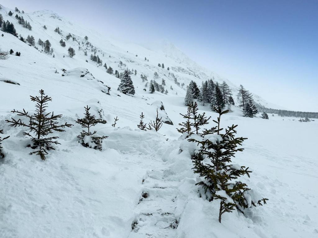 Chalet le Basset - Keys to Paradise in the Alps v zimě
