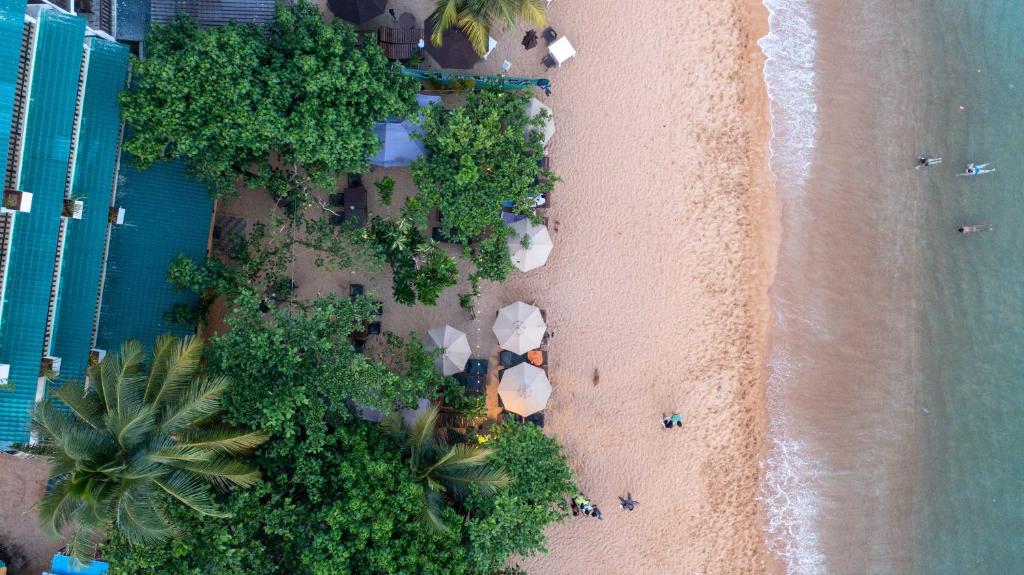 an overhead view of a beach with a group of people at Ocean's Eye Apartments in Unawatuna