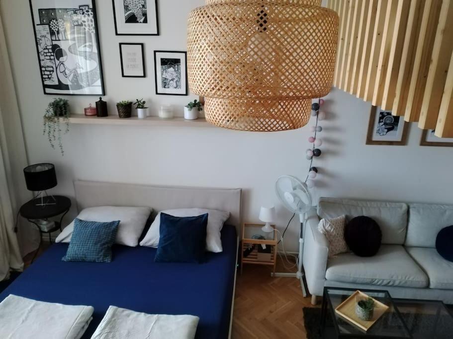 psí hotel brno komárov
