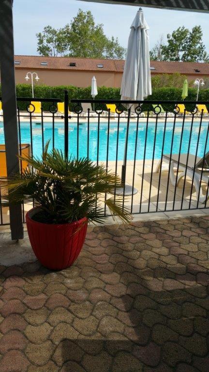 a plant in a red pot next to a pool at Appartement Le Lido de la Marana in Lucciana
