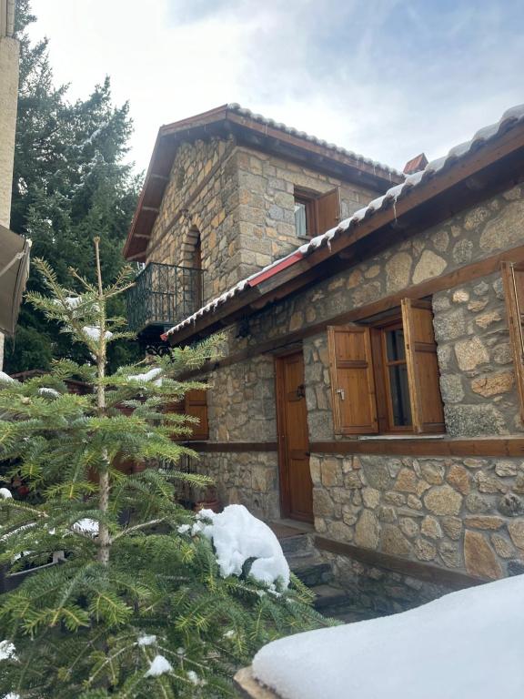 una casa de piedra con un árbol delante en Urban River House, en Florina