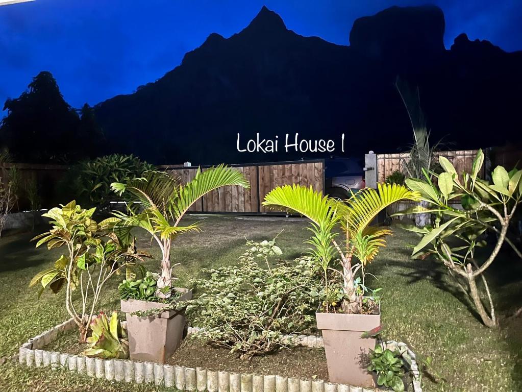 Lokai houseにある庭
