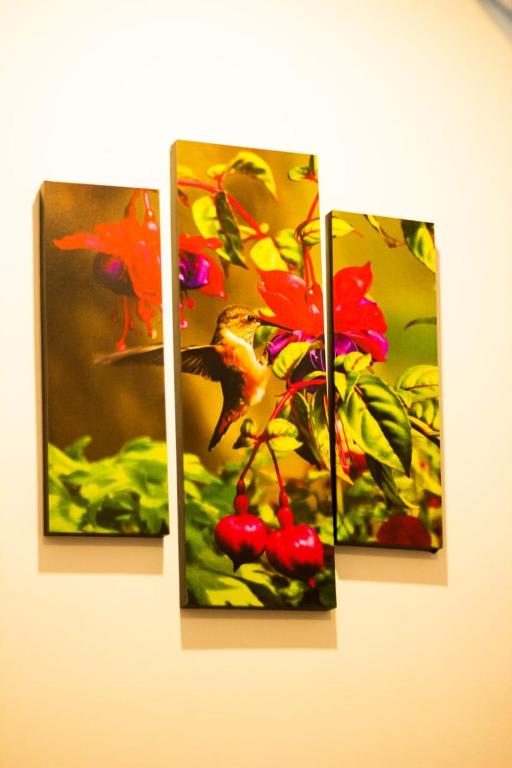 Fotografie z fotogalerie ubytování Muru's Place v destinaci Dikwella