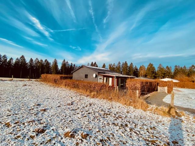 比林根的住宿－Au Chalet du Lac，雪覆盖的田地边的房子