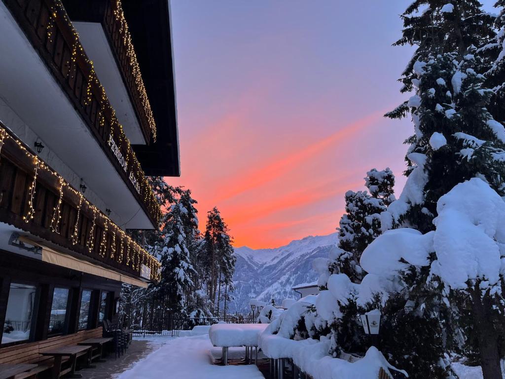 a snow covered tree next to a building with a sunset at Pension Alpina in Obsteig
