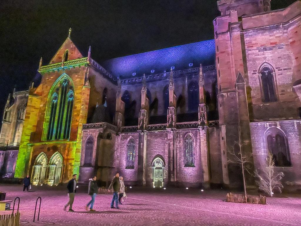 Le Cathedral View Colmar - Centre Historique - Parking privé gratuit - 16