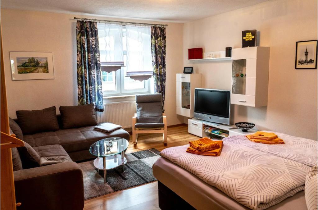 ein Wohnzimmer mit einem Sofa und einem TV in der Unterkunft Moderne Ferienwohnung in der Stadt in Forst