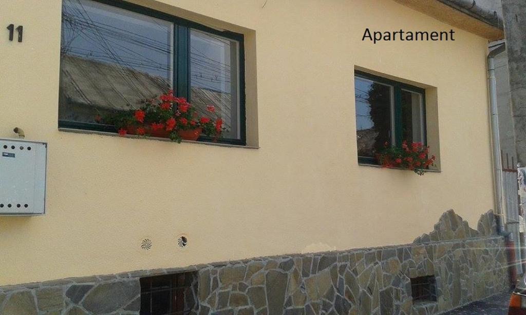 zwei Fenster mit roten Blumen an der Seite eines Gebäudes in der Unterkunft Casa Kapti in Turda