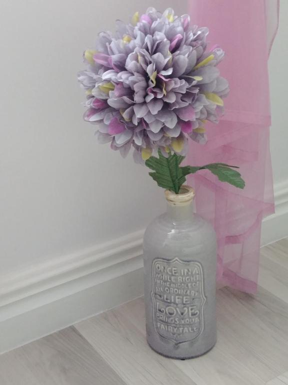 Willa AXLA z werandą ogrodem i parkingiem - 15