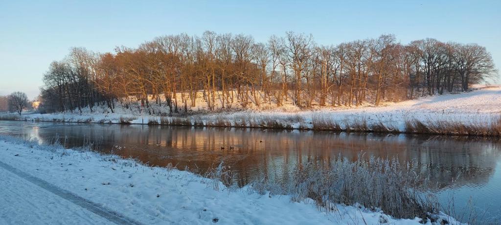 a river with snow and trees on the side at 2-Zimmer-Fewo Nähe Lübeck in Berkenthin