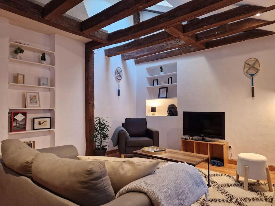 uma sala de estar com um sofá e uma televisão em Loft de charme hypercentre em Angers