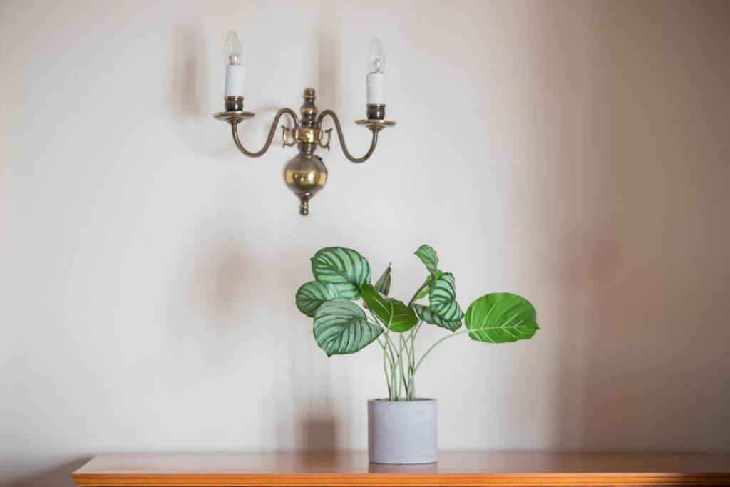 Escape to Paradise in Plett - Back up Electricity - Image 38