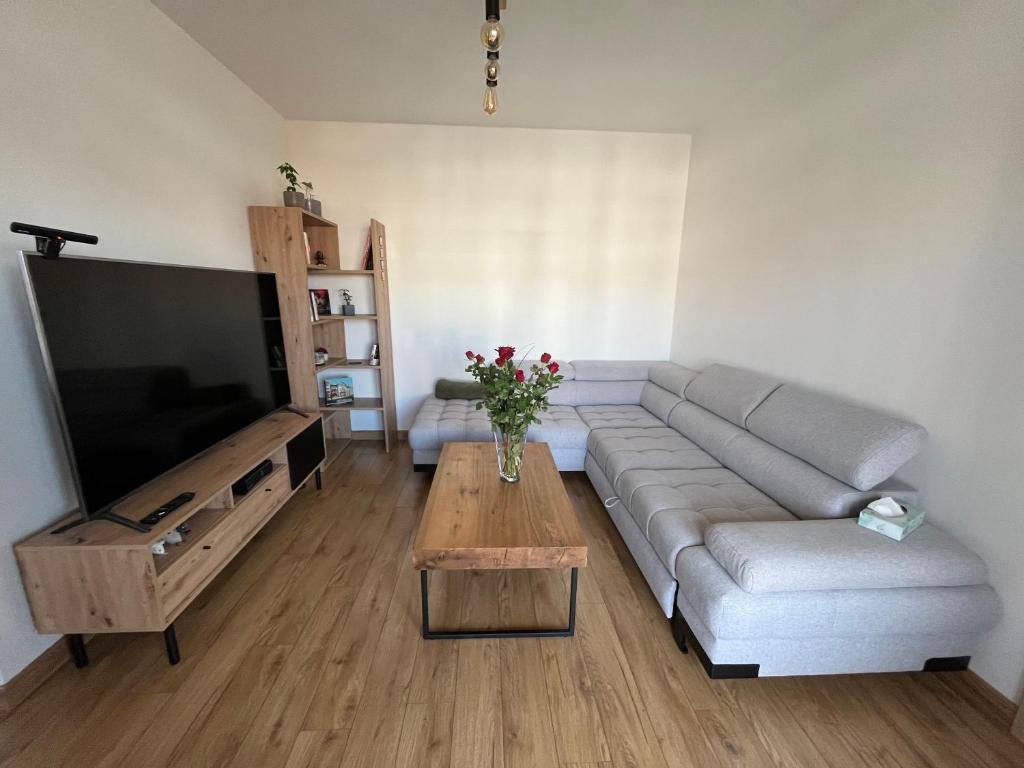 a living room with a couch and a television at Apartman Usmev in Košice