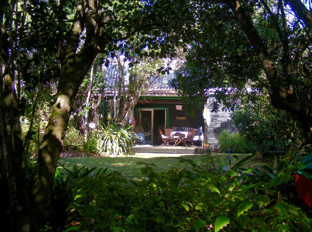 una casa con una silla en medio de un jardín en 22 Arum Street Nature’s Valley, en Nature's Valley