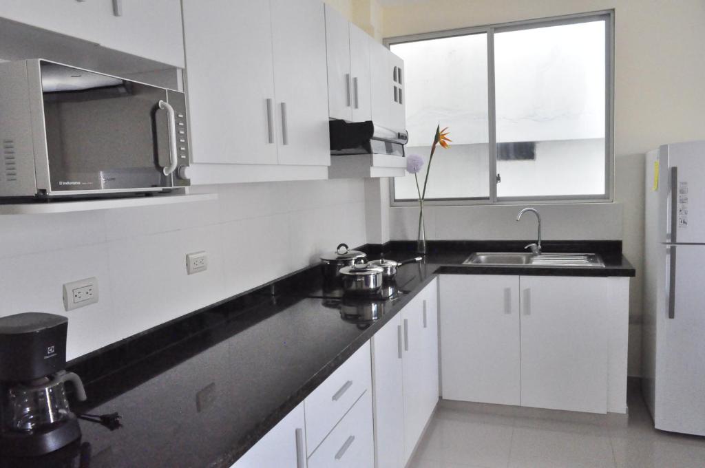 Kuchyň nebo kuchyňský kout v ubytování Valdivia Suites