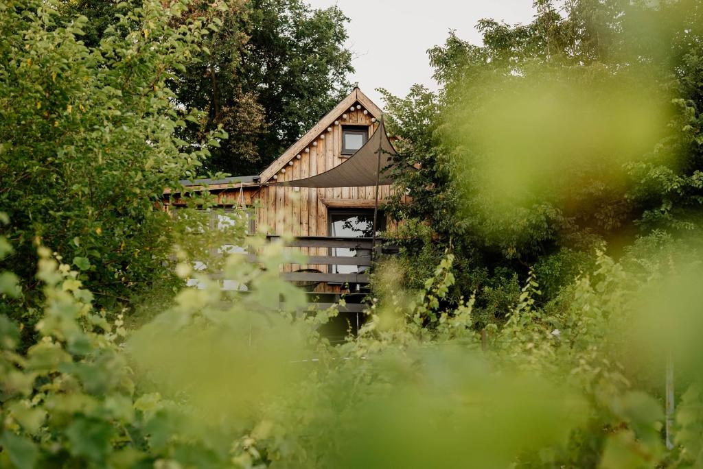 a wooden cabin in the middle of a forest at Casa Quint in Csákberény