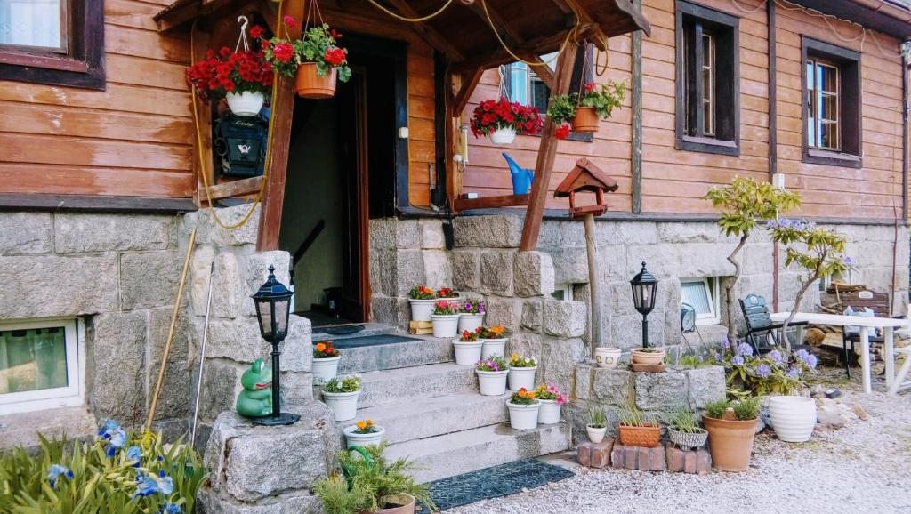 une maison avec des plantes en pot sur les marches dans l'établissement Jaś i Małgosia, à Szklarska Poręba