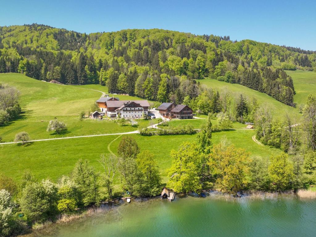 uma vista aérea de uma casa numa colina ao lado de um lago em Serner am See em Zell am Moos