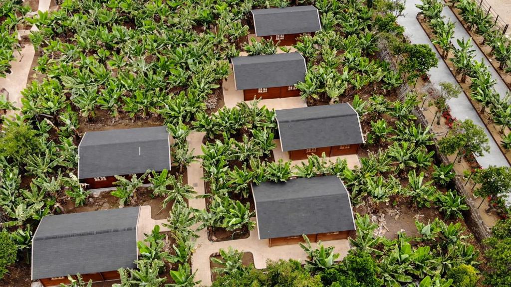 Zahrada ubytování Cabañas Finca Las Vegas