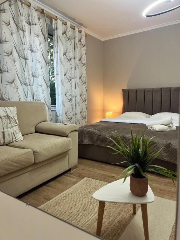 New Bazaar Cane Apartment 2 - Imazhi 3