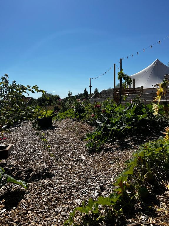 Zahrada ubytování Vättervy Glamping