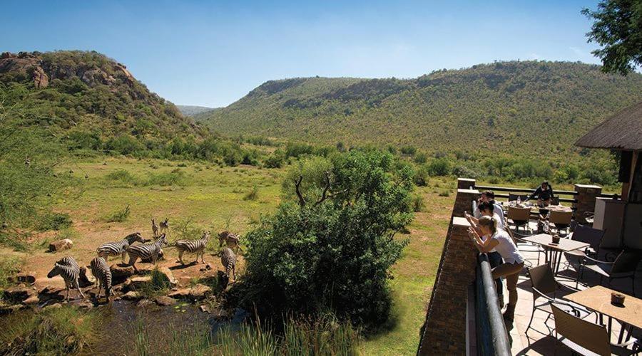 a person looking over a fence at a group of animals at Kwa Maritane Executive Chalet in Pilanesberg