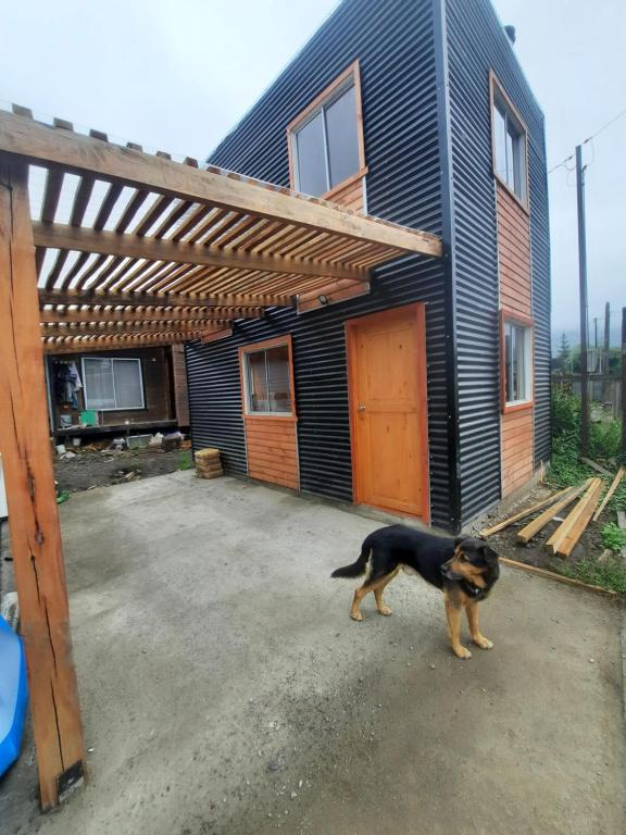 a dog standing in front of a house at Cabaña para 2-3 personas in Valdivia