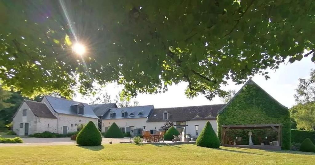 uma grande casa branca com um telhado verde em Domaine de la Limetiere em Neuvy-le-Roi