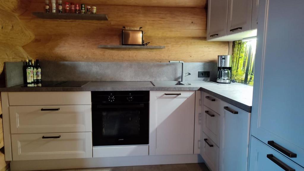 Kuchyň nebo kuchyňský kout v ubytování Böhmerwald Lodges