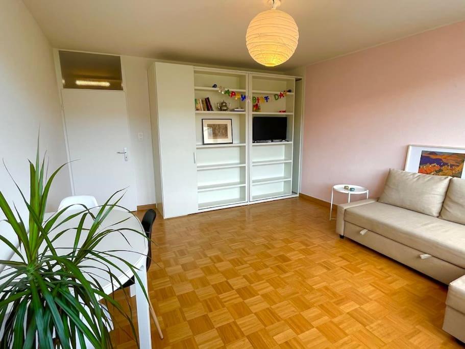 a living room with a couch and a table at Cozy Flat in the Center of Kleinbasel in Basel