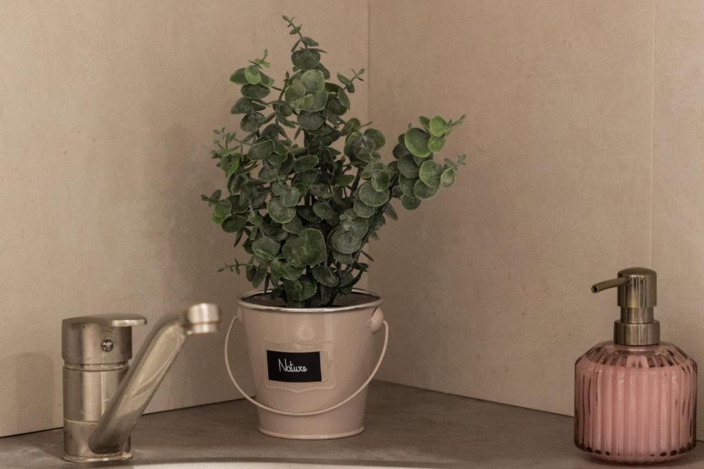 a potted plant sitting on a counter next to a soap dispenser at Apartment Relax in Łukęcin