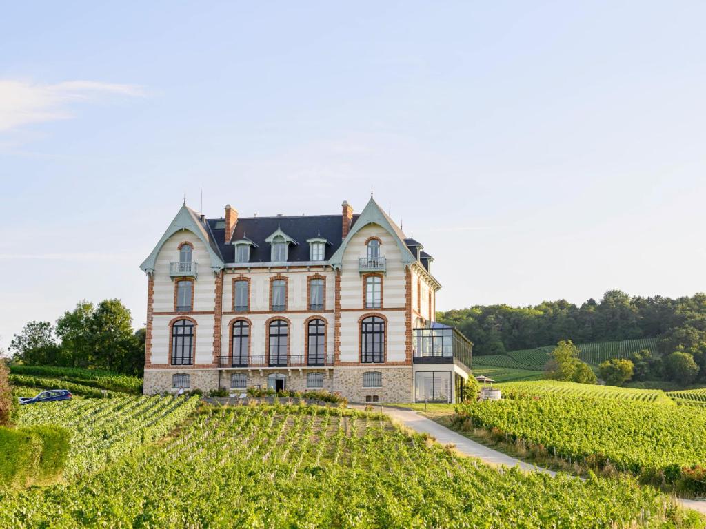 an estate in the middle of a vineyard at Chateau de Sacy in Sacy