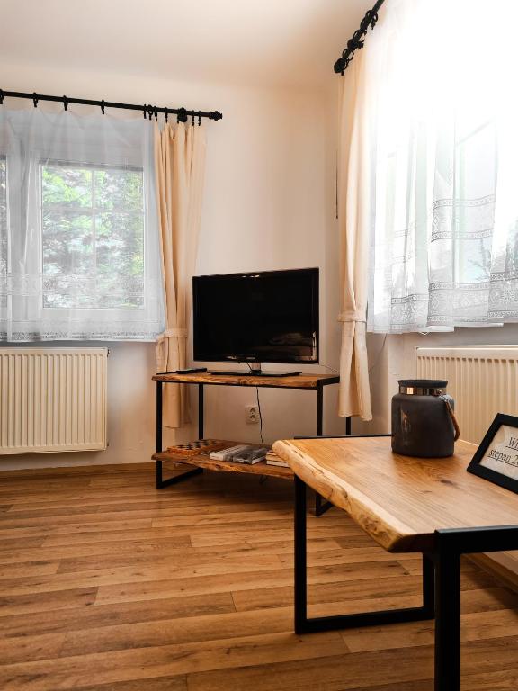TV a/nebo společenská místnost v ubytování Apartmán Pod Ledovcem