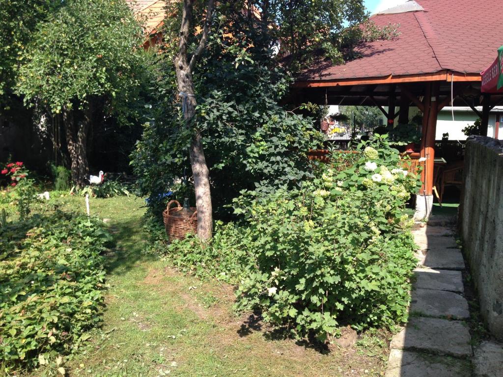 Zahrada ubytování Pensiunea Noema