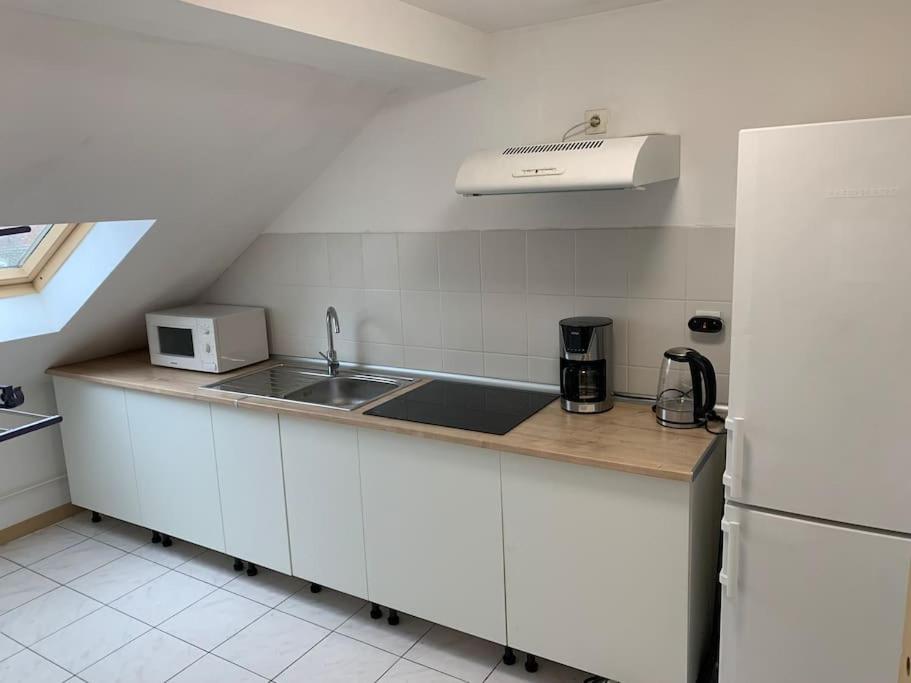 a small kitchen with a sink and a refrigerator at Cozy Little One Room Appartment, a tranquil haven! in Mulhouse
