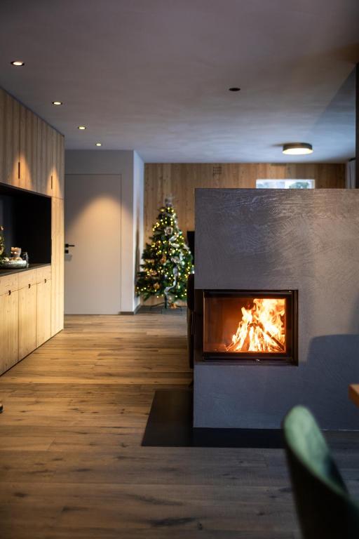 TV a/nebo společenská místnost v ubytování Amie Chalet