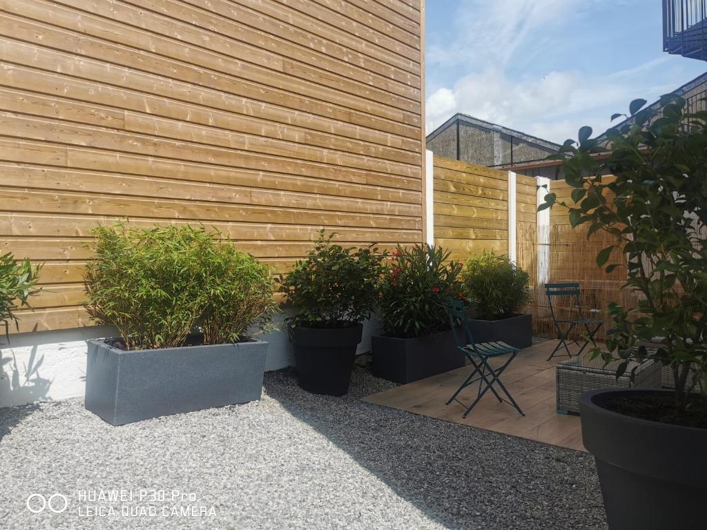 a group of potted plants sitting next to a wooden wall at Charmante maison rénovée en plein centre in Saint-Nazaire