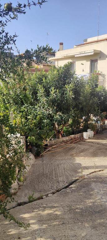 Zahrada ubytování Casa Verga Ispica