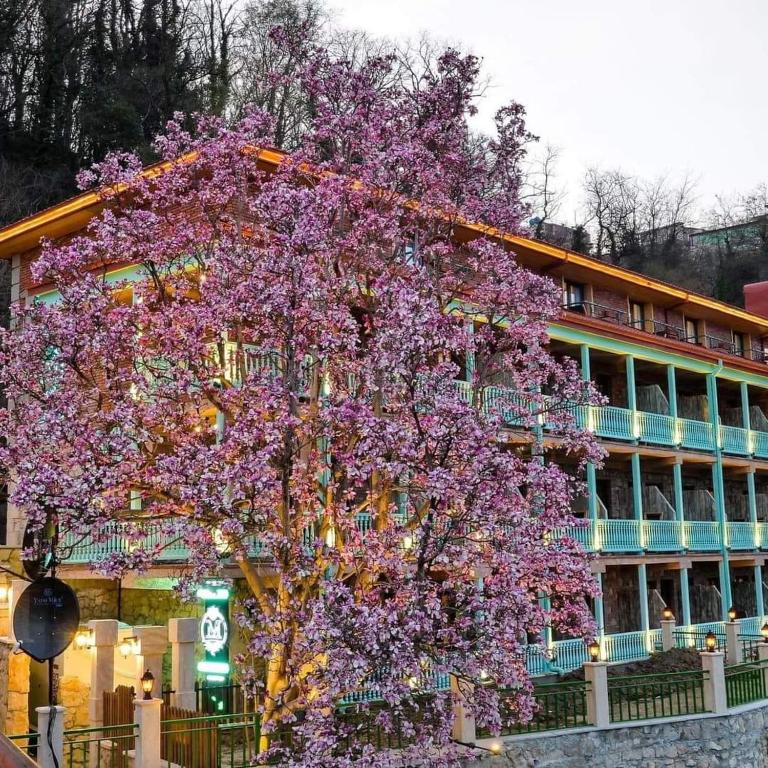 Zahrada ubytování Mango's Guesthouse
