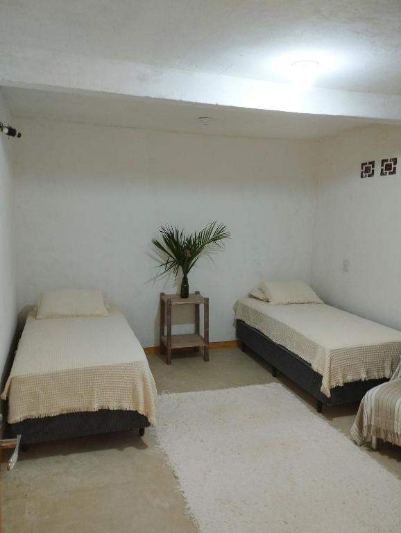 Habitación con 2 camas y una maceta. en Quarto Ravenalla, en Porto Seguro