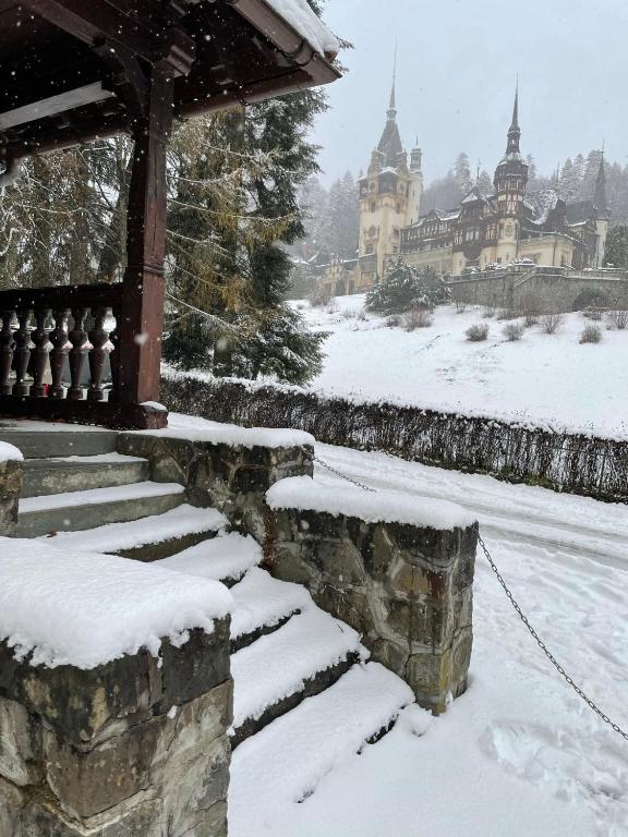 Vila ?ipot - Casa Arhitec?ilor - Resim 39