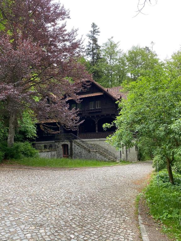 Zahrada ubytování Vila Șipot - Casa Arhitecților