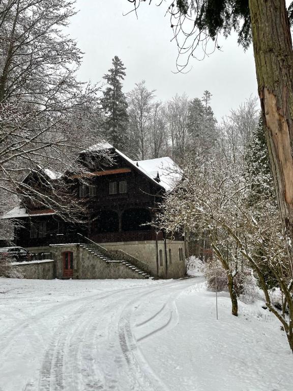 Vila ?ipot - Casa Arhitec?ilor - Resim 42