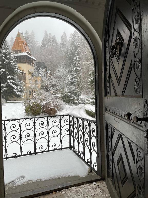 Vila ?ipot - Casa Arhitec?ilor - Resim 44