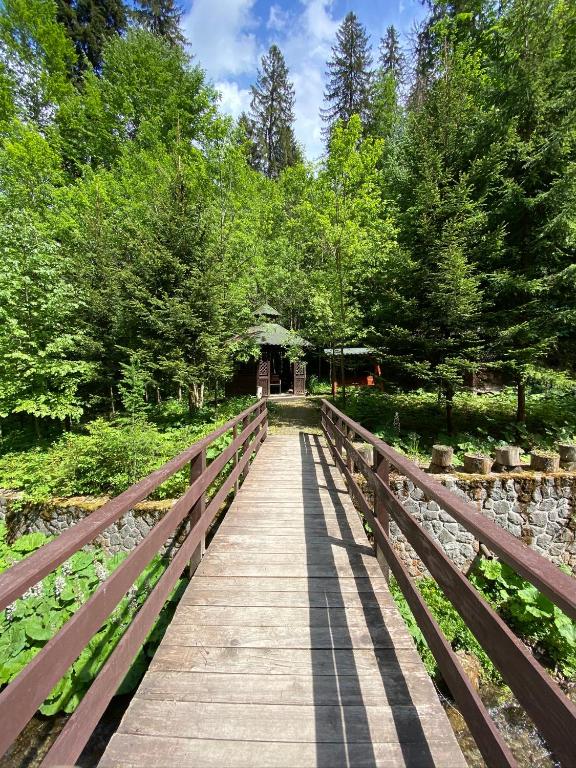 Vila ?ipot - Casa Arhitec?ilor - Resim 36