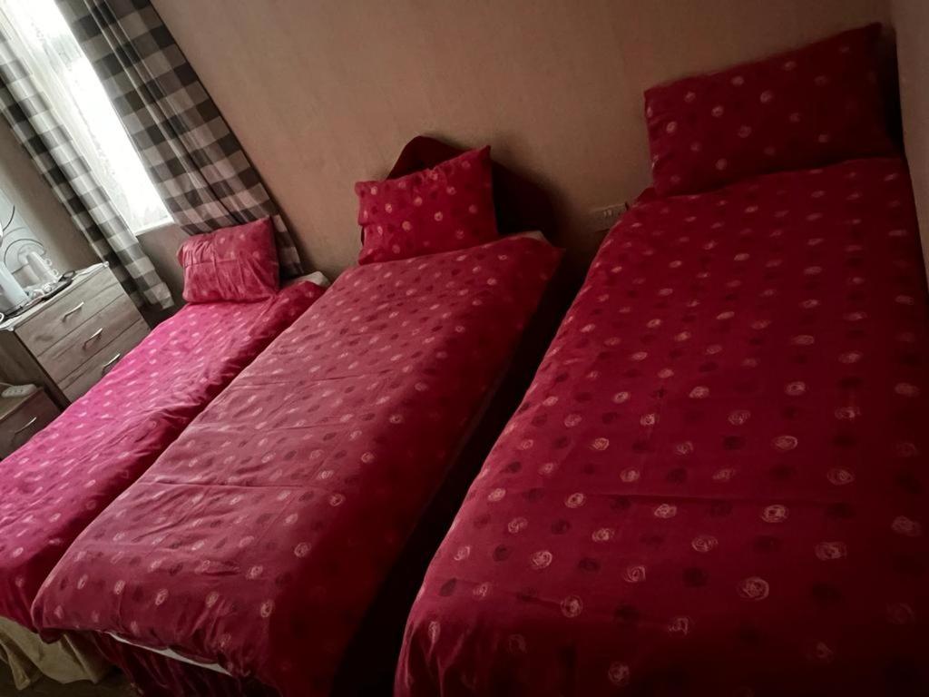 Lynton Hotel - Resim 12