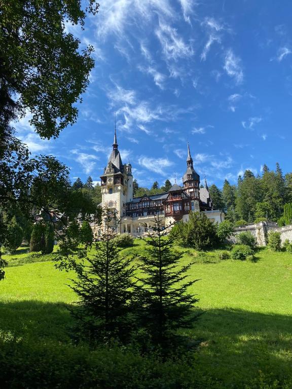 Zahrada ubytování Vila Șipot - Casa Arhitecților