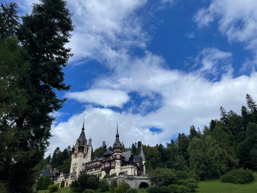 Vila ?ipot - Casa Arhitec?ilor - Resim 45