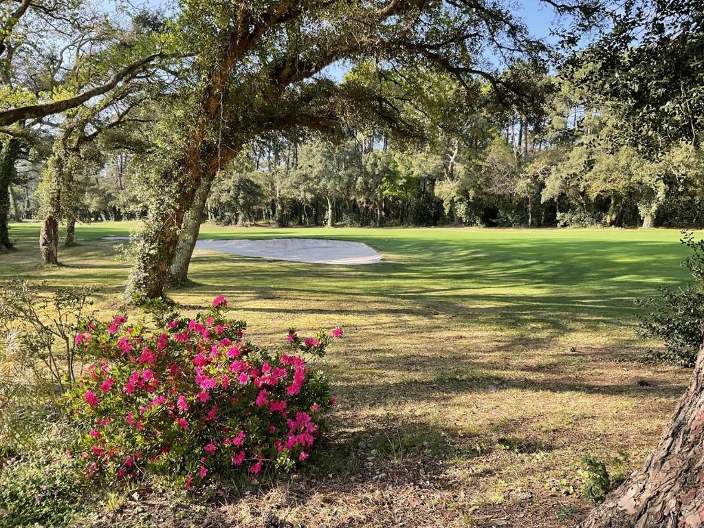 un arbre avec des fleurs roses dans un parc dans l'établissement Villa CHEBEC Appartement en rez de jardin avec terrasse vue sur golf d Hossegor, à Hossegor